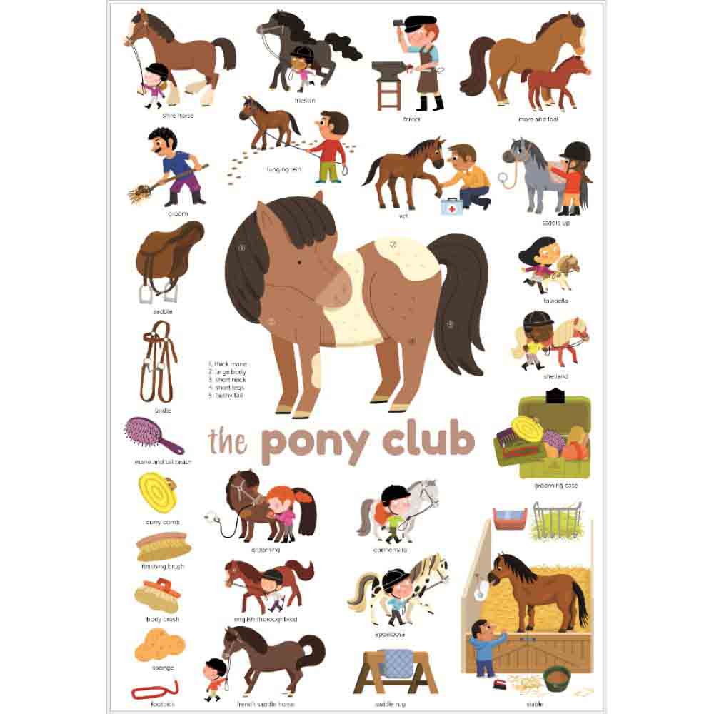 Buy Poppik Mini Sticker Poster The Pony Club 27 Stickers | Yallatoys.com