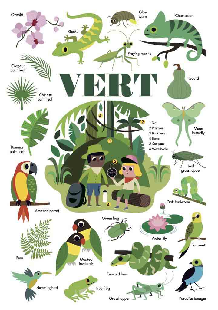 Buy Poppik Mini Sticker Poster Learning Colours Green | Yallatoys.com