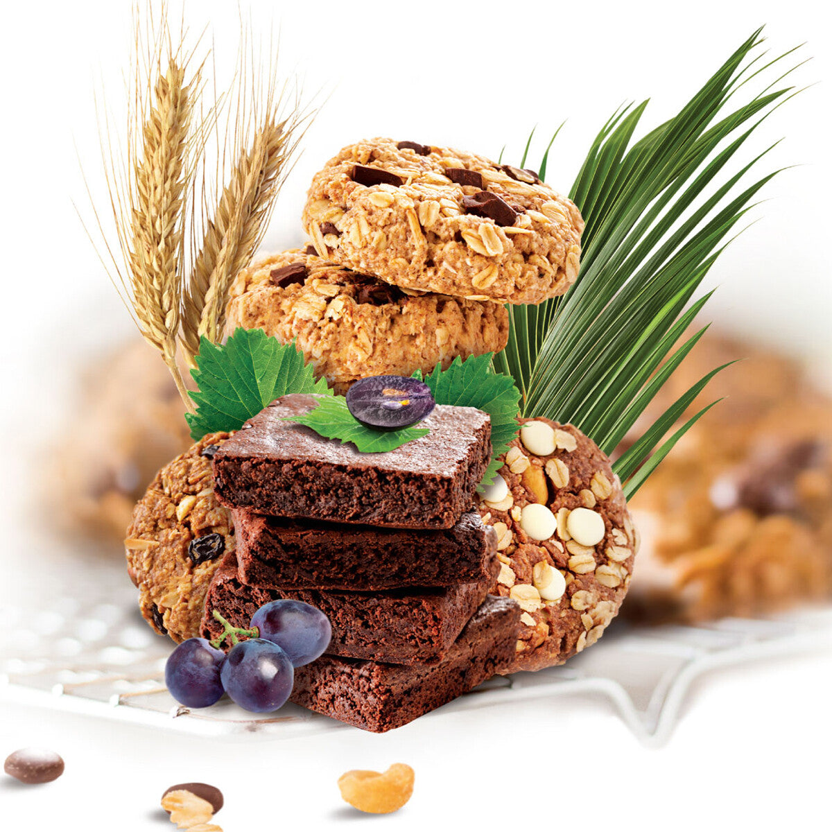 Milky Makers Mini Sample Box