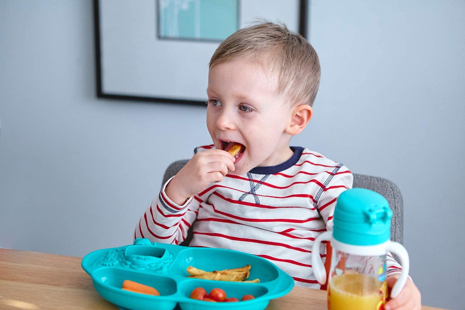 Marcus N Marcus  Yummy Dips Suction Divided Plate Ollie Marcus & Marcus Yallatoys