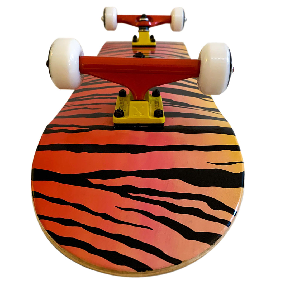 Buy Maui Traditional SB Barracuda Skateboard | Yallatoys.com