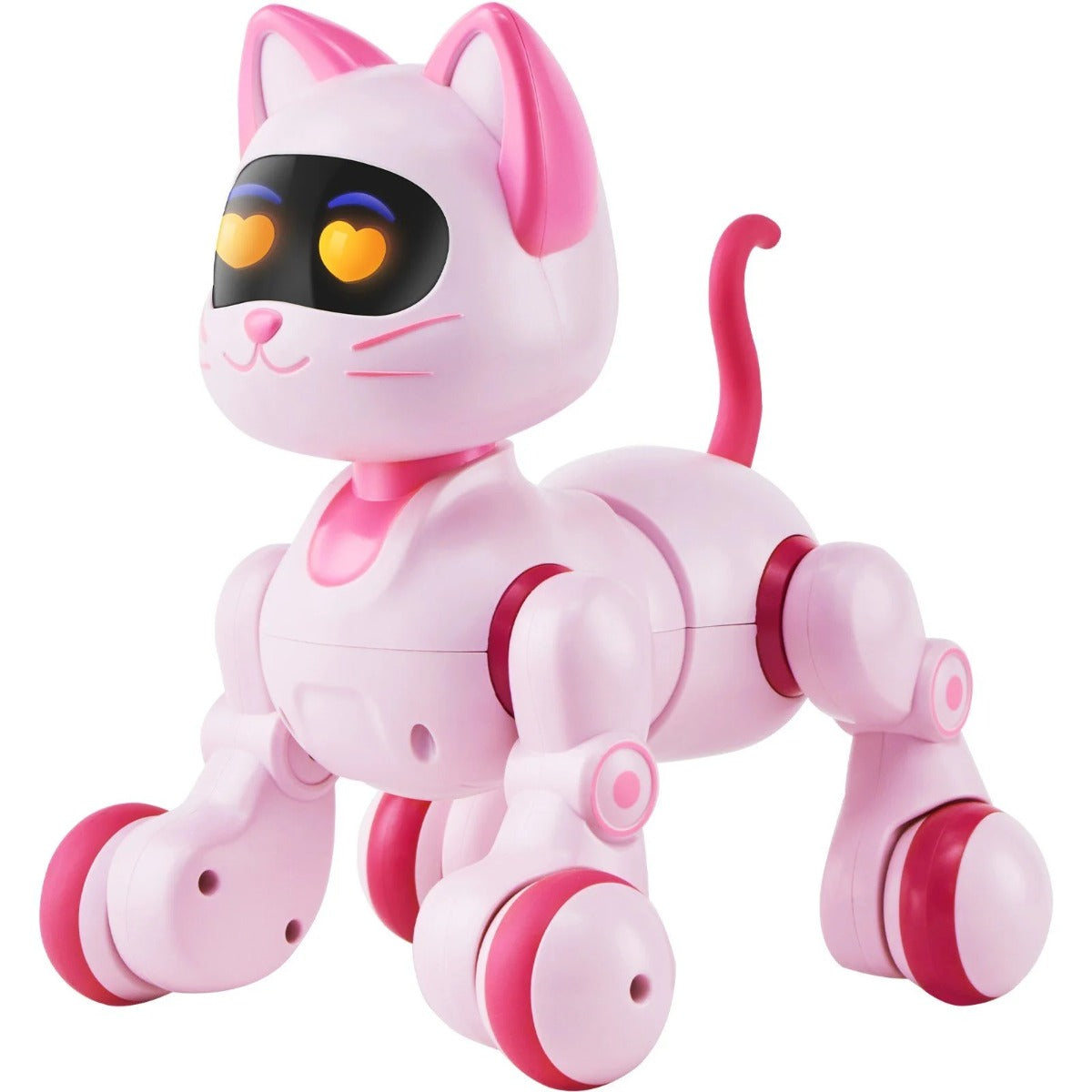 Buy New Girl Happy Kitten | Yallatoys.com