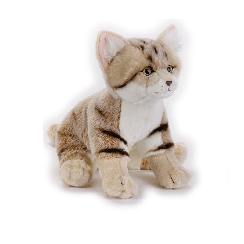 Buy National Geographic Plush Premium Sand Cat 10inch | Yallatoys.com