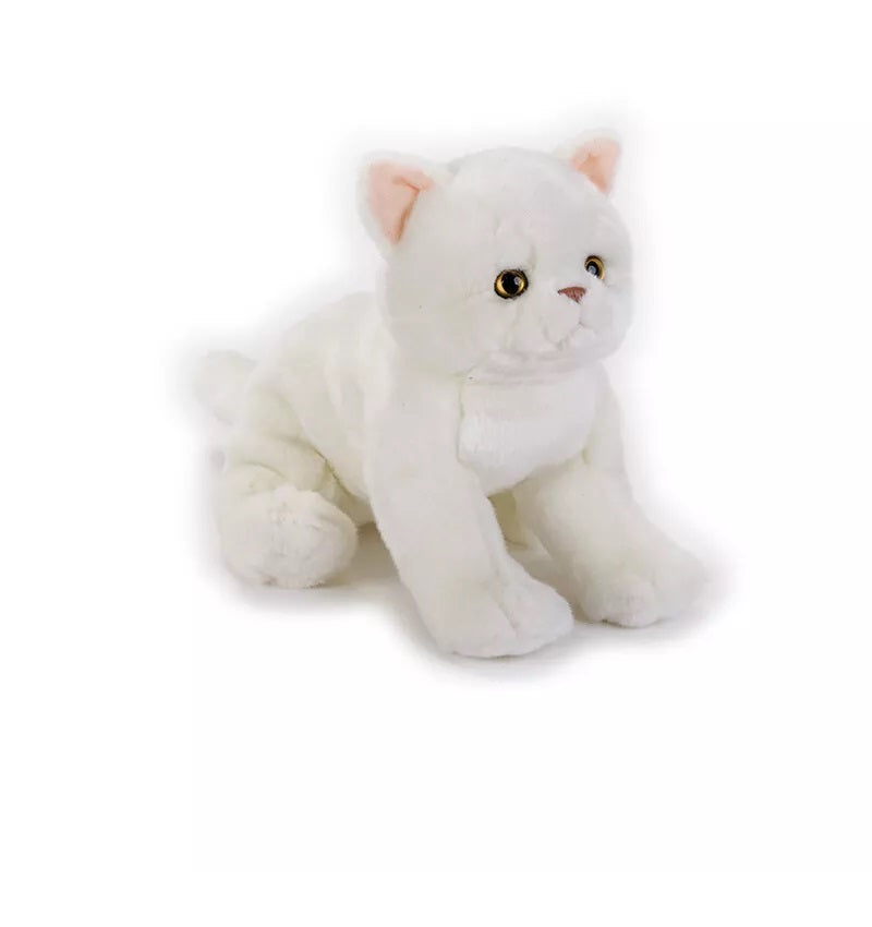 Buy National Geographic Plush Premium Exotic Kitten 10inch | Yallatoys.com