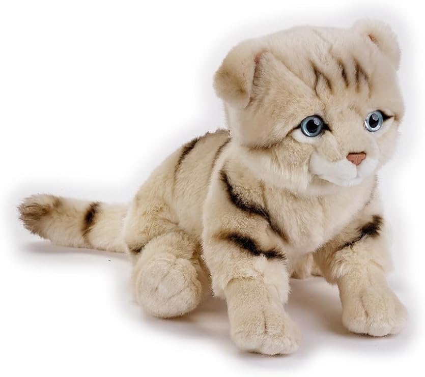 Buy National Geographic Plush Premium Scottish Cat 10inch | Yallatoys.com