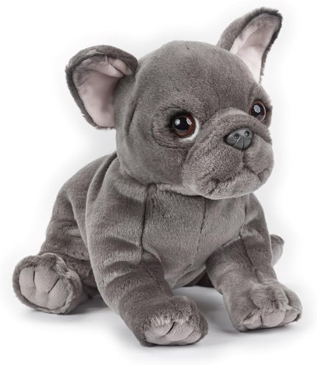 Buy National Geographic Plush Premium French Bulldog 10inch | Yallatoys.com