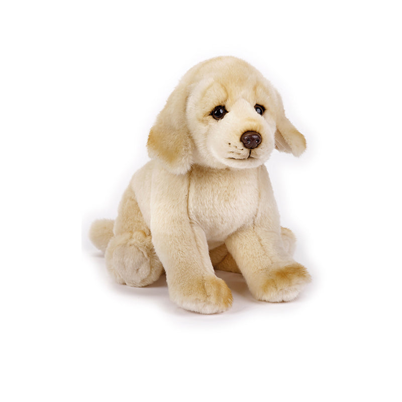 Buy National Geographic Plush Remium Golden Retriever 10inch | Yallatoys.com