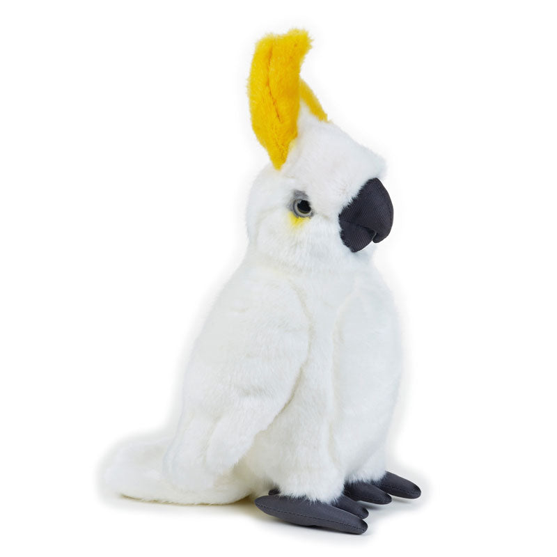 Buy National Geographic Plush Premium Cockatoo 6inch | Yallatoys.com