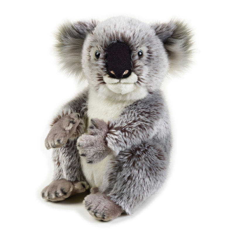 Buy National Geographic Plush Premium Koala 6inch | Yallatoys.com