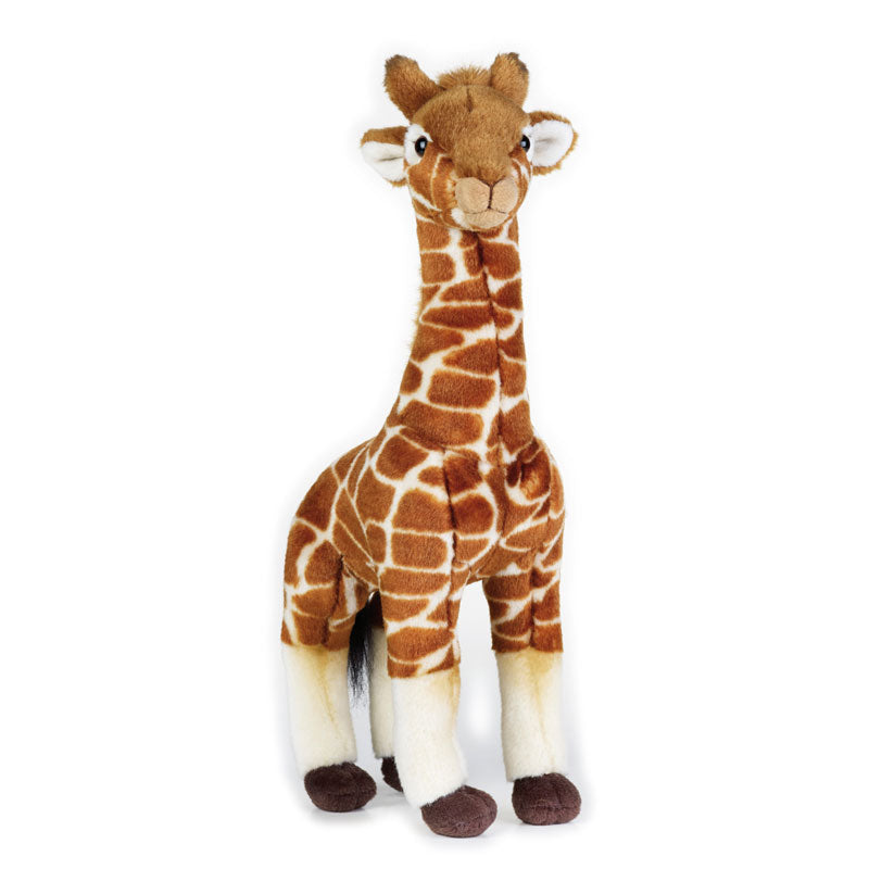 Buy National Geographic Plush Premium Giraffe 6inch | Yallatoys.com