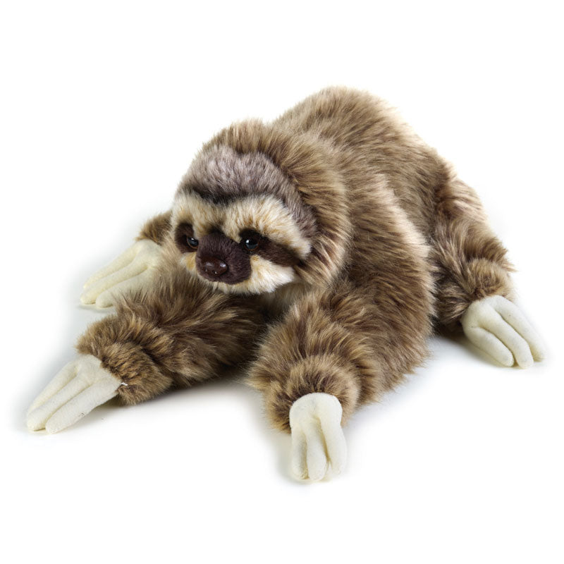 Buy National Geographic Plush Premium Sloth 10inch | Yallatoys.com