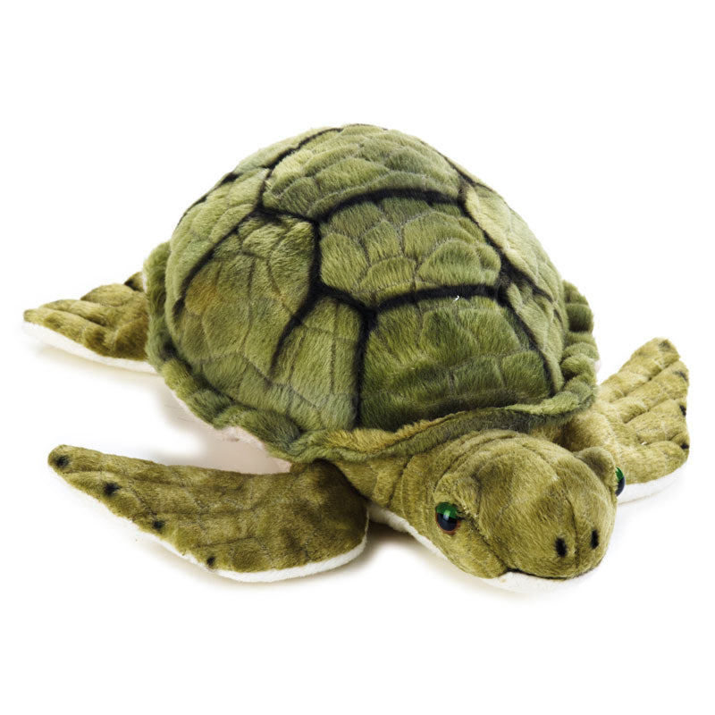 Buy National Geographic Plush Premium Turtle 10inch | Yallatoys.com