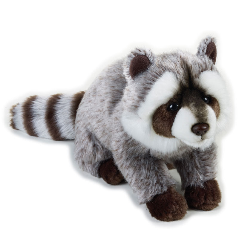 Buy National Geographic Plush Premium Racoon 10inch | Yallatoys.com