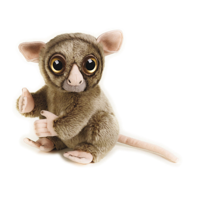 Buy National Geographic Plush Premium Tarsier 10inch | Yallatoys.com