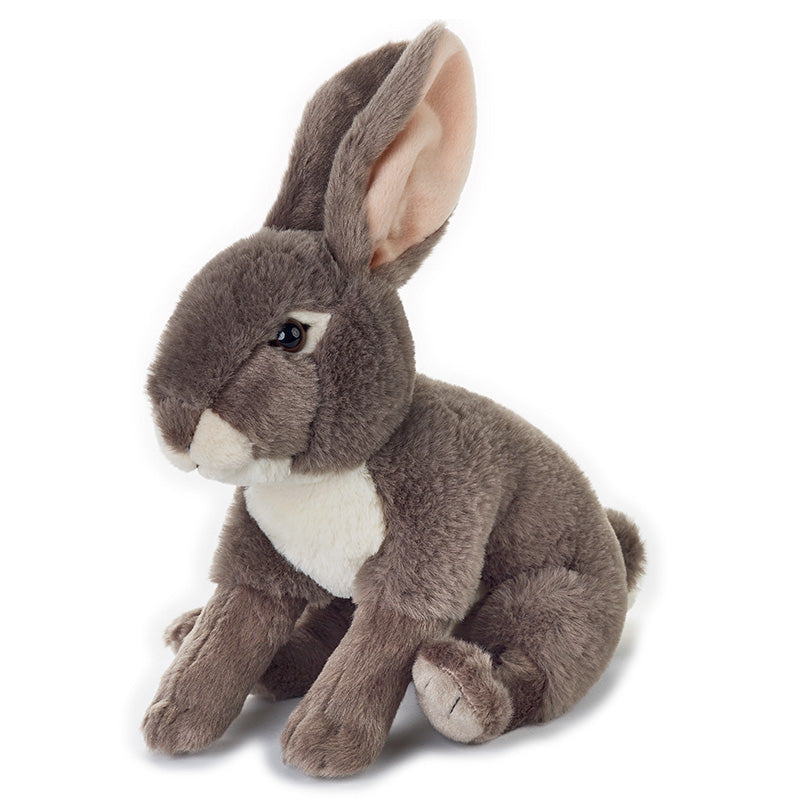 Buy National Geographic Plush Premium Jack Rabbit 6inch | Yallatoys.com