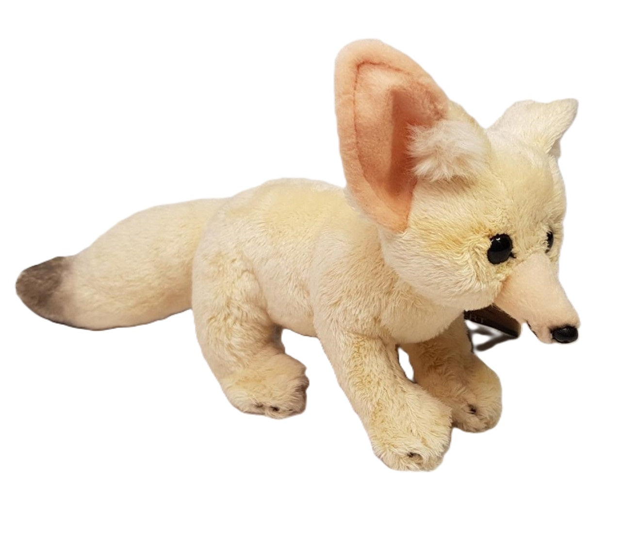 Buy National Geographic Plush Premium Fennec Fox 6inch | Yallatoys.com