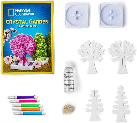 Buy National Geographic Crystal Garden Science Kit | Yallatoys.com