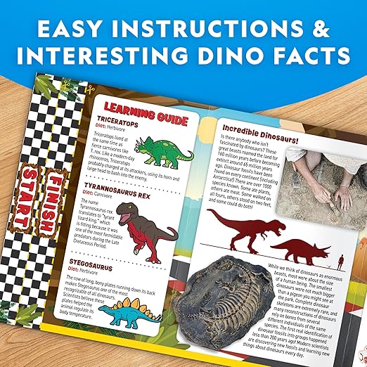 Buy National Geographic Paint Your Own Dino Race Cars Toy | Yallatoys.com