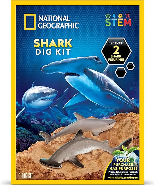 Buy National Geographic Hammerhead Shark Dig Kit | Yallatoys.com