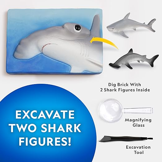 Buy National Geographic Hammerhead Shark Dig Kit | Yallatoys.com