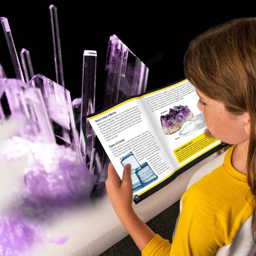 Buy National Geographic Carded Purple Crystal Lab | Yallatoys.com