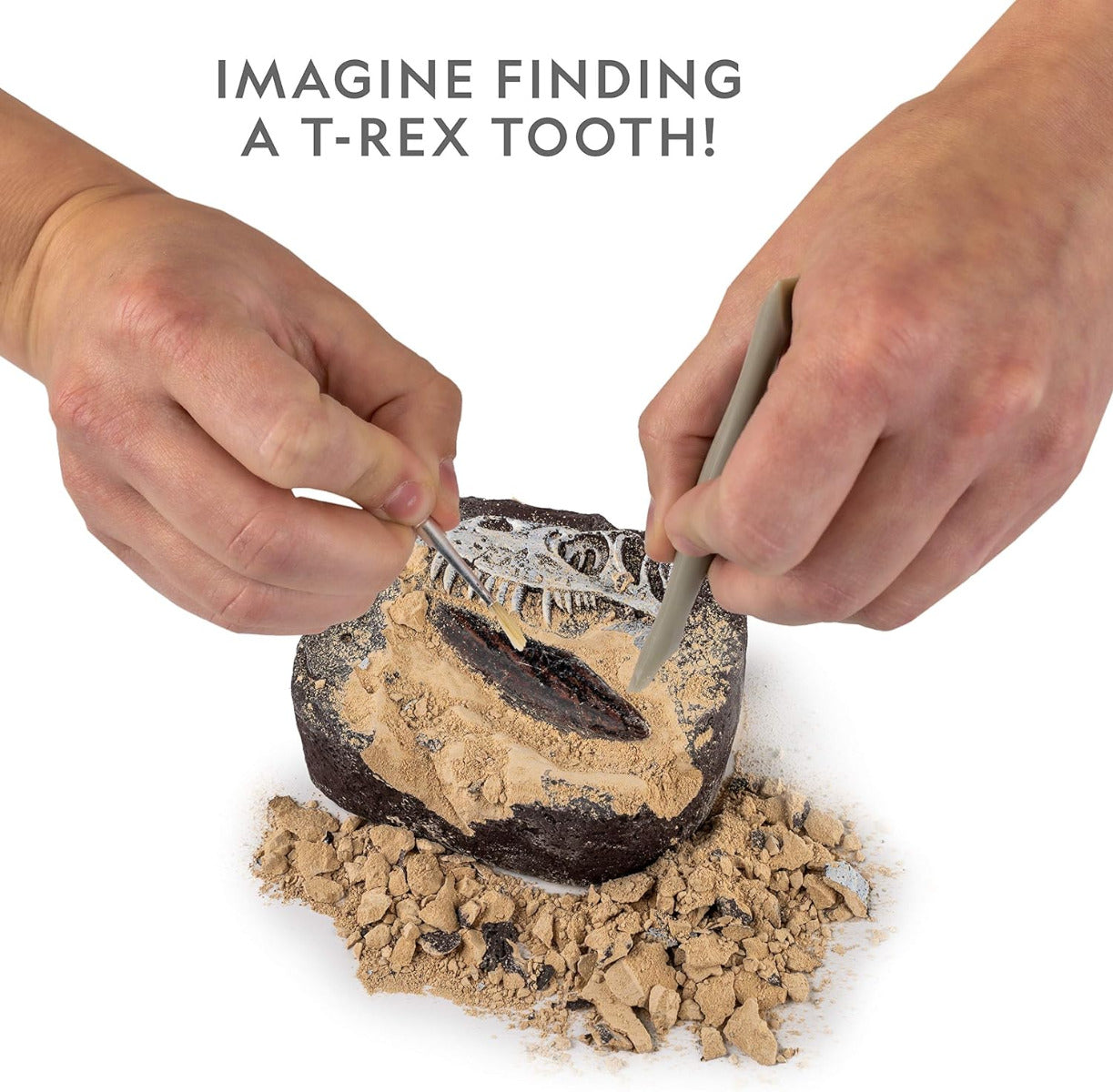 Buy National Geographic Dino Fossil Dig Kit Dig Up a T Rex Tooth | Yallatoys.com