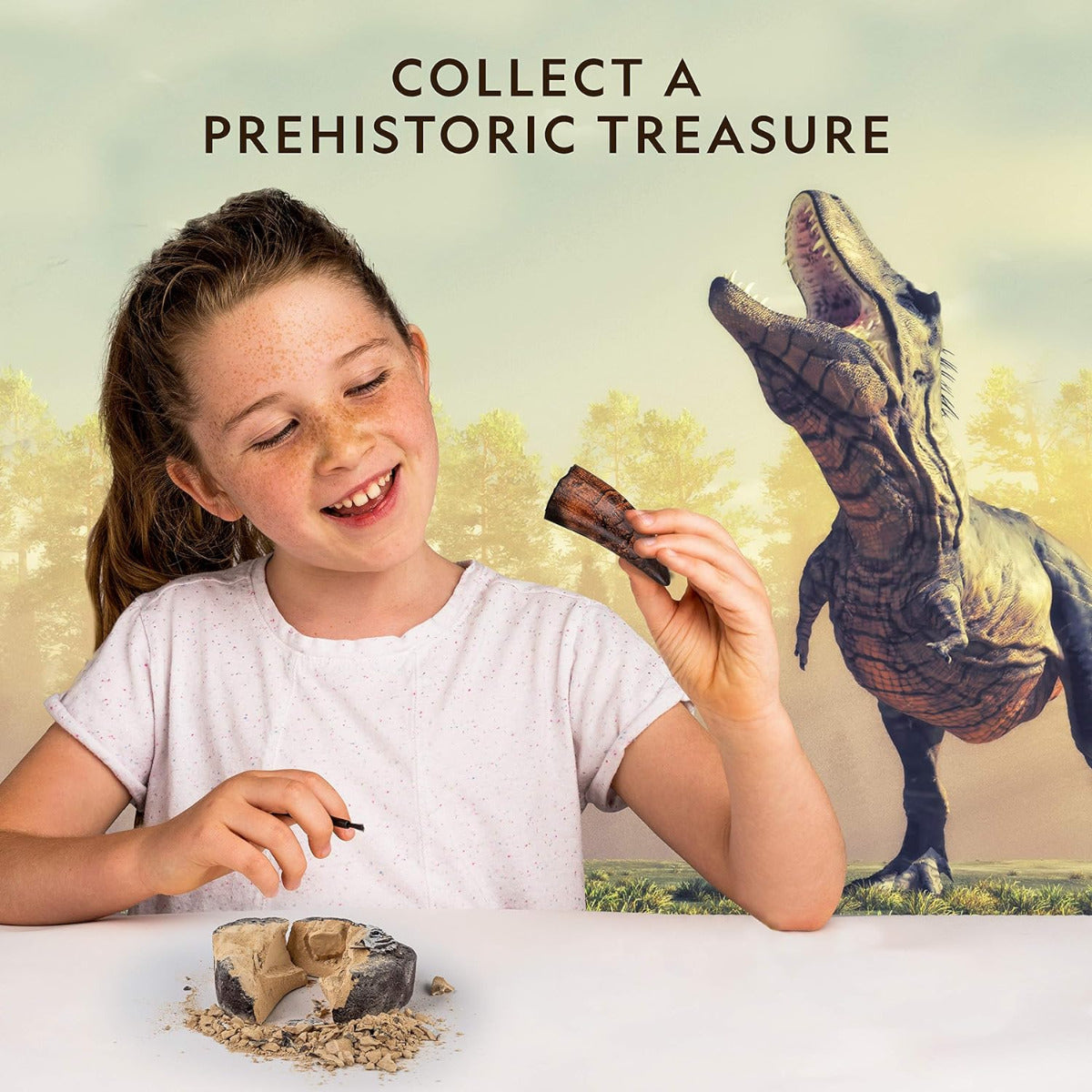 Buy National Geographic Dino Fossil Dig Kit Dig Up a T Rex Tooth | Yallatoys.com