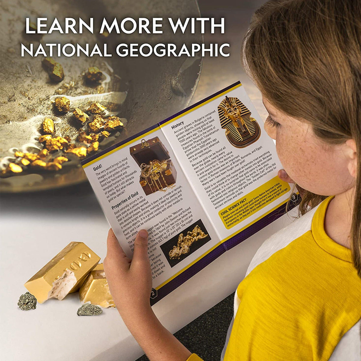 Buy National Geographic Carded Fools Gold Mini Dig Kit | Yallatoys.com