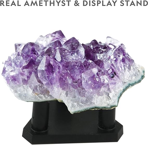 Buy National Geographic Purple Crystal Growing Lab | Yallatoys.com