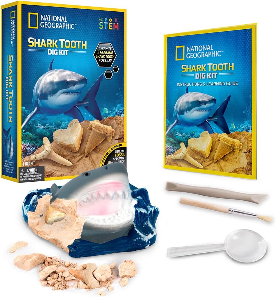 Buy National Geographic Shark Tooth Dig Kit Excavate 3 Real Shark Fossils Including Sand | Yallatoys.com