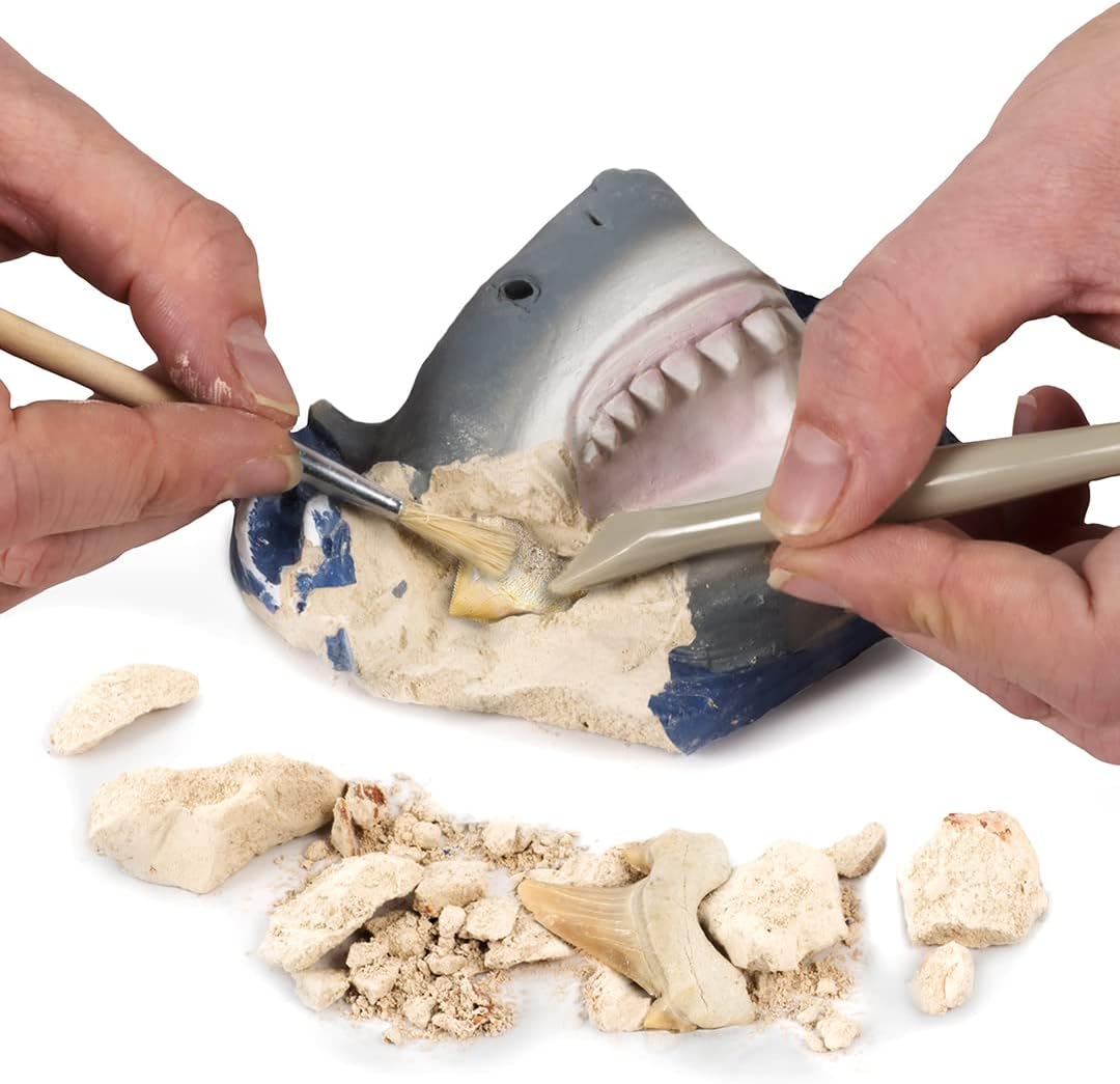 Buy National Geographic Shark Tooth Dig Kit Excavate 3 Real Shark Fossils Including Sand | Yallatoys.com