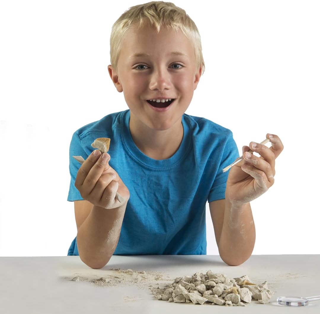 Buy National Geographic Shark Tooth Dig Kit Excavate 3 Real Shark Fossils Including Sand | Yallatoys.com