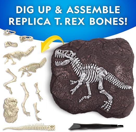 Buy National Geographic Tyrannosaurus Rex Dig Kit | Yallatoys.com