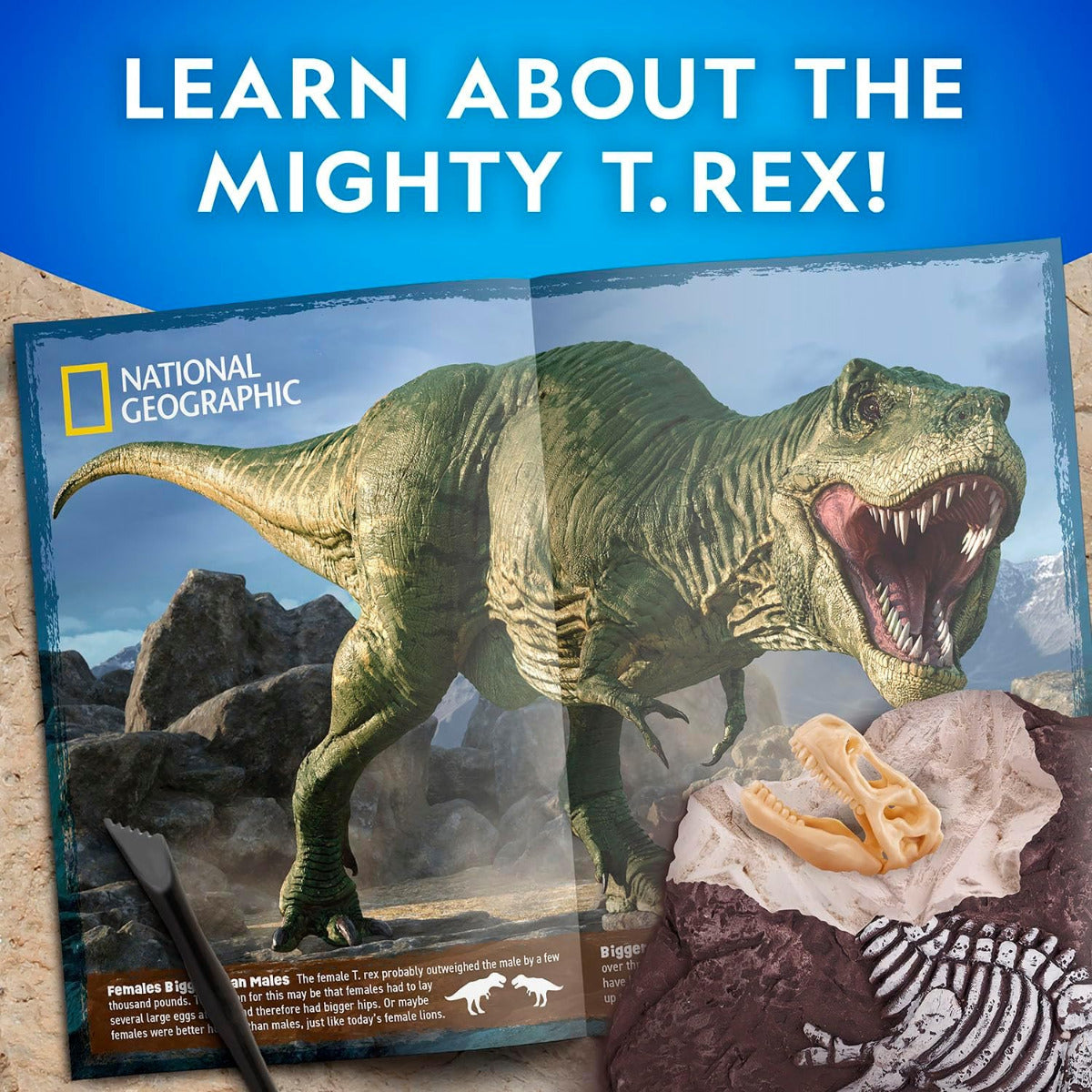 Buy National Geographic Tyrannosaurus Rex Dig Kit | Yallatoys.com