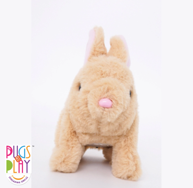 Buy Pugs At Play Jumping Cookie | Yallatoys.com