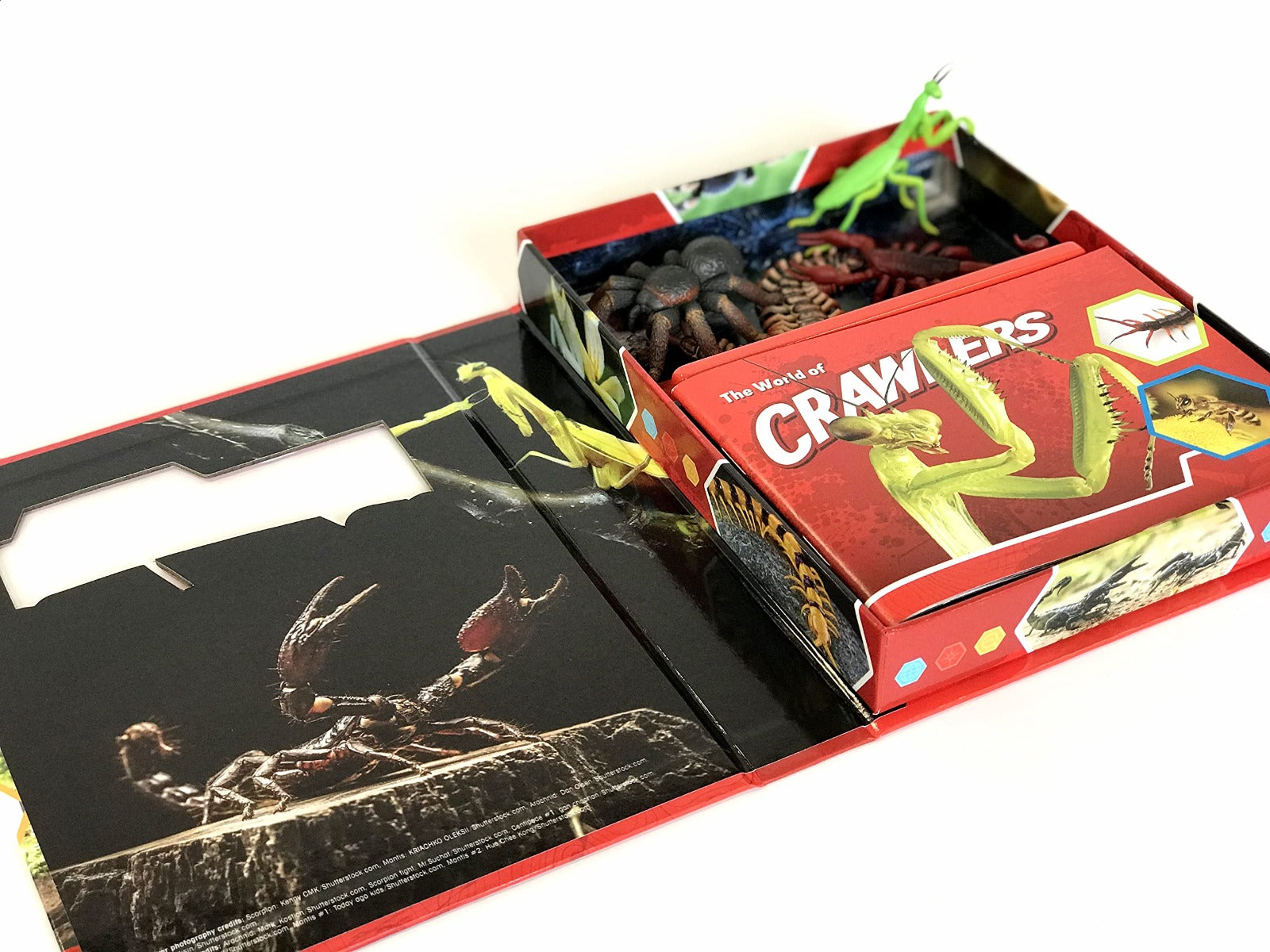 Buy Phidal Crawlers Pocket Explorers with 4 Figurines and Fact Book | Yallatoys.com