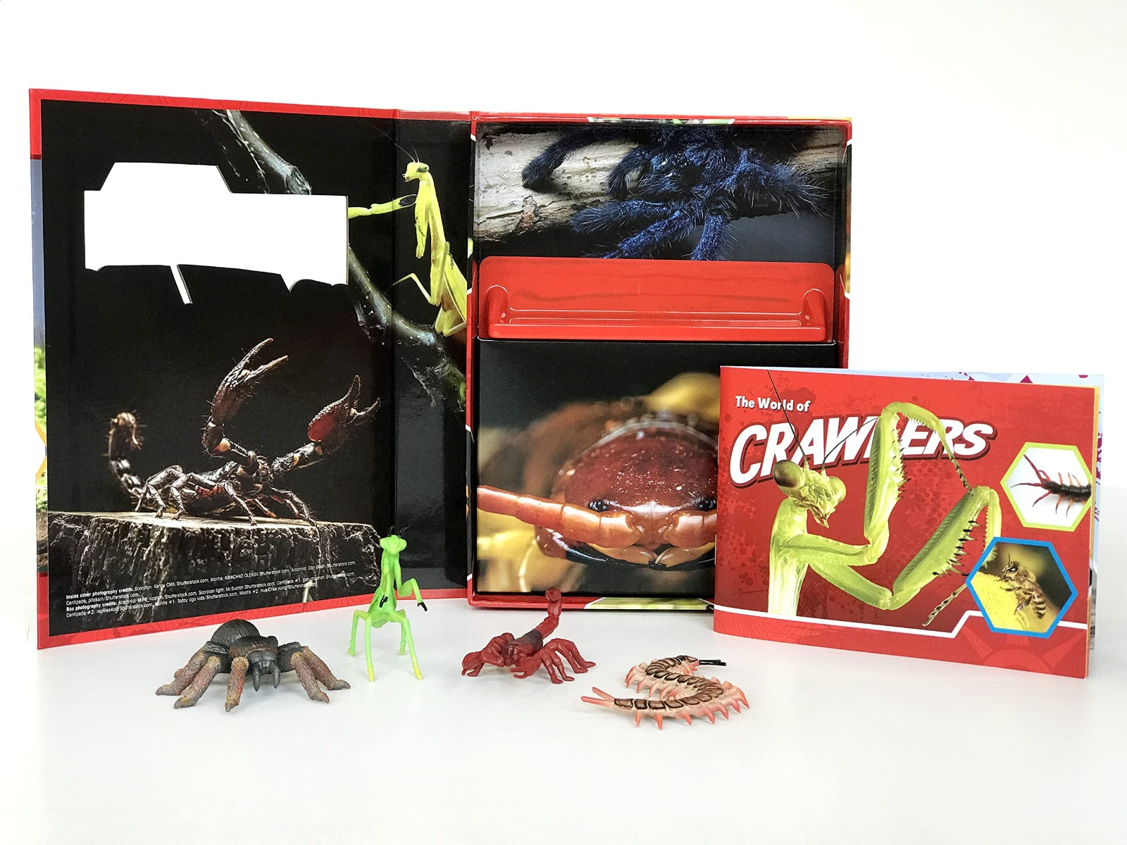 Buy Phidal Crawlers Pocket Explorers with 4 Figurines and Fact Book | Yallatoys.com