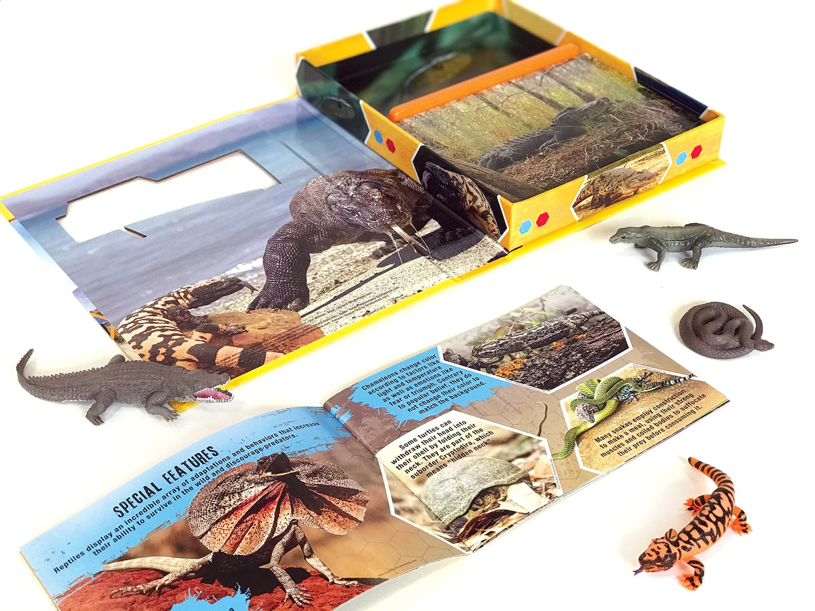 Buy Phidal Reptiles Pocket Explorers with 4 Figurines and Fact Book | Yallatoys.com
