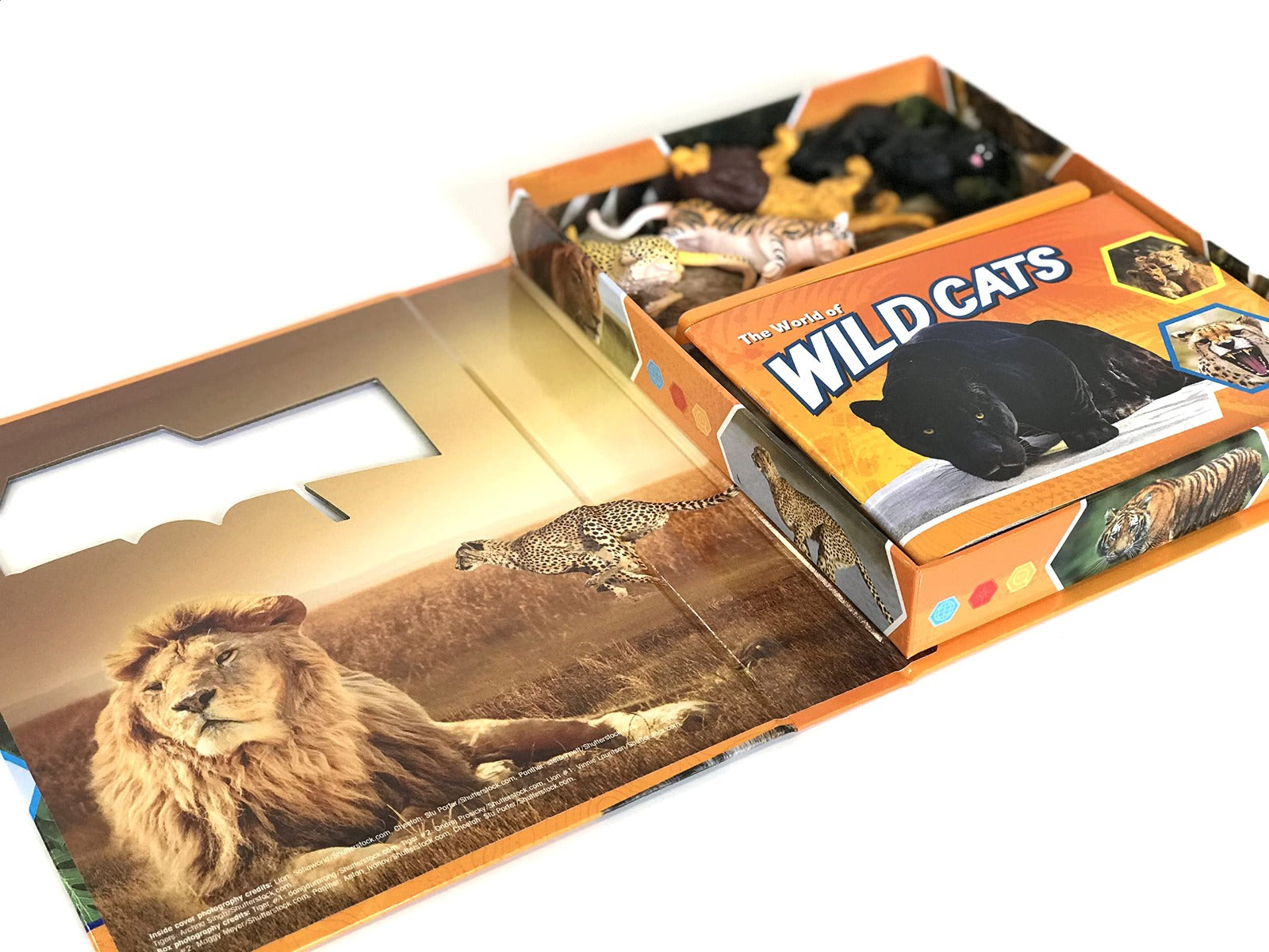 Buy Phidal Wild Cats Pocket Explorers with 4 Figurines and Fact Book | Yallatoys.com