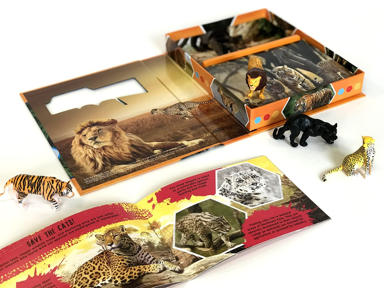 Buy Phidal Wild Cats Pocket Explorers with 4 Figurines and Fact Book | Yallatoys.com