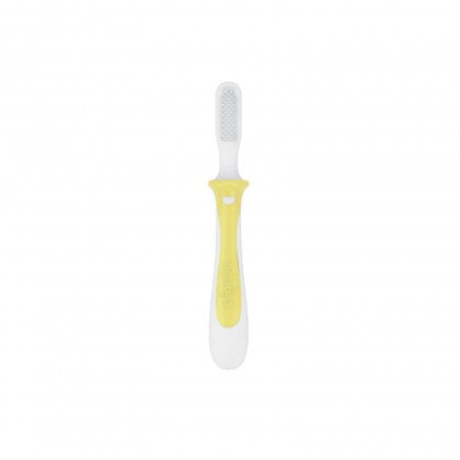 Pigeon Training Toothbrush Lesson 1 Yellow Pigeon Yallatoys