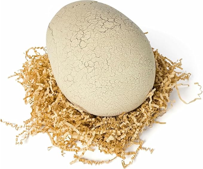 Buy Primal Hatch Interactive Hatching Dino | Yallatoys.com