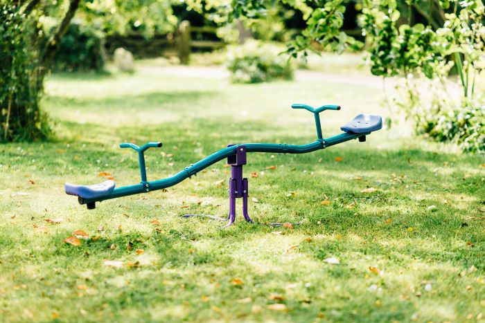 Buy Plum Rotating See Saw Purple Teal | Yallatoys.com