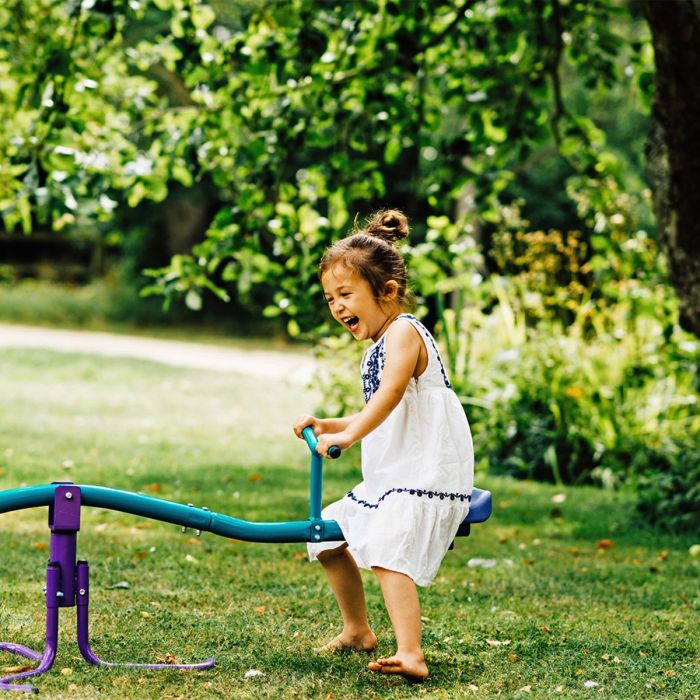 Buy Plum Rotating See Saw Purple Teal | Yallatoys.com