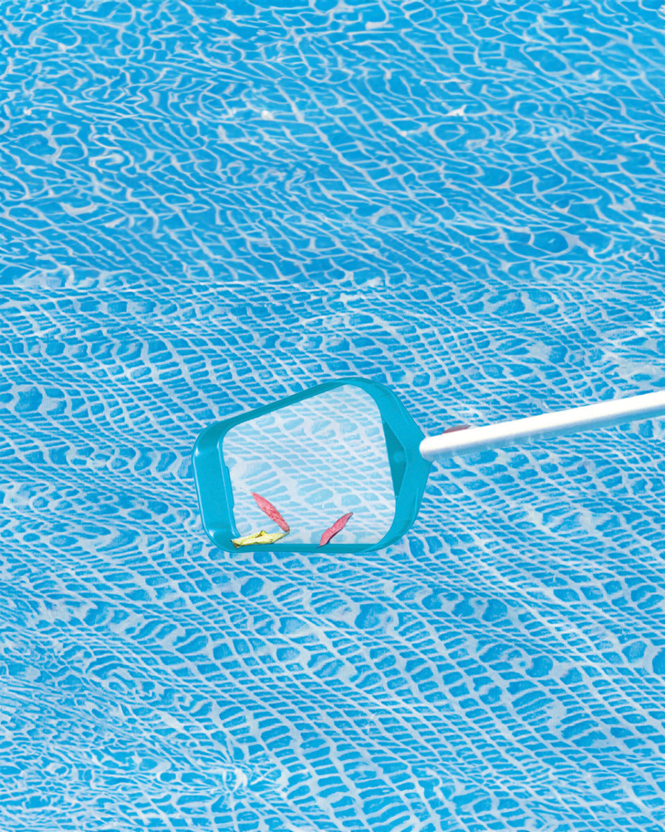 pool skimmer and brush set