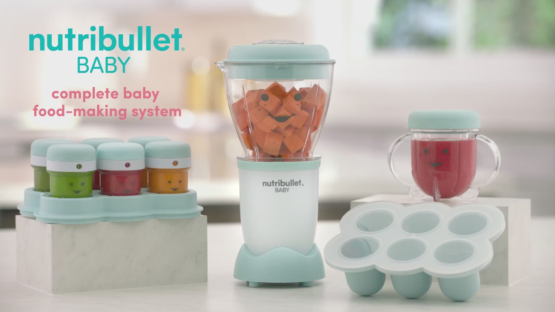 Nutribullet Baby Bullet 18 Pcs Set