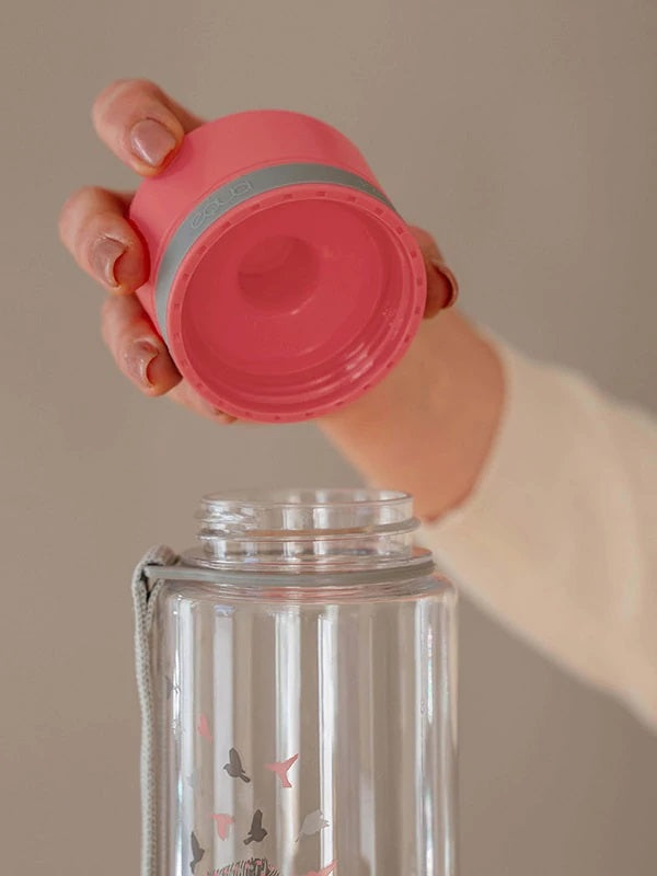 Buy Equa BPA Free Birds 600ml Water Bottle | Yallatoys.com