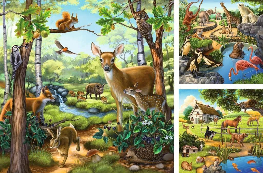 Buy Ravensburger Forest Zoo Domestic Animals 3 X 49 Pcs Puzzle | Yallatoys.com
