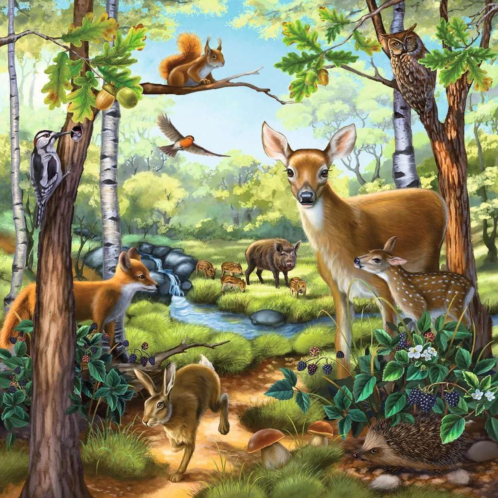 Buy Ravensburger Forest Zoo Domestic Animals 3 X 49 Pcs Puzzle | Yallatoys.com