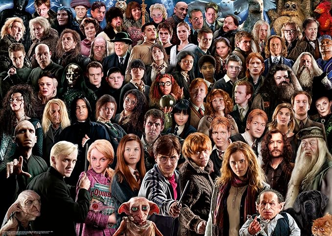 Buy Ravensburger Puzzle Harry Potter Challenge | Yallatoys.com